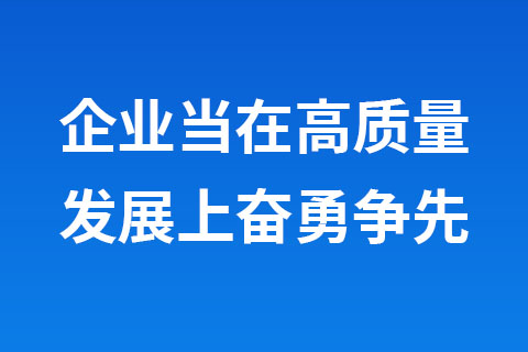 企業(yè)當(dāng)在高質(zhì)量發(fā)展上奮勇爭先