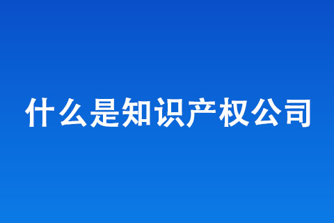 什么是知識(shí)產(chǎn)權(quán)公司