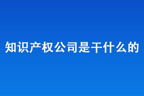 知識(shí)產(chǎn)權(quán)公司是干什么的