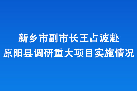 新鄉(xiāng)市副市長(zhǎng)王占波赴原陽(yáng)縣調(diào)研重大項(xiàng)目實(shí)施情況