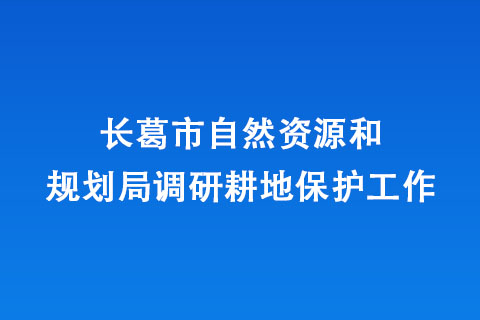 長葛市自然資源和規(guī)劃局調(diào)研耕地保護(hù)工作