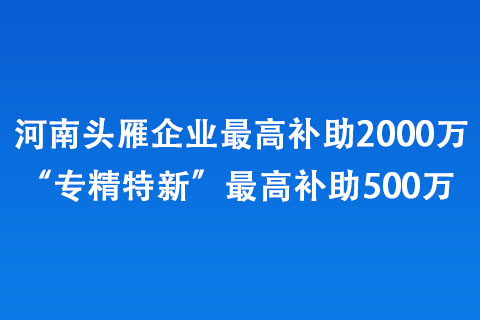 河南頭雁企業(yè)更高補助2000萬、“專精特新”更高補助500萬 