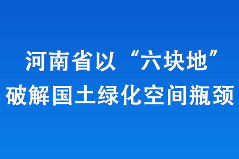 河南省以“六塊地”破解國(guó)土綠化空間瓶頸