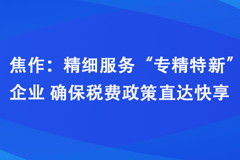 焦作：精細(xì)服務(wù)“專精特新”企業(yè) 確保稅費(fèi)政策直達(dá)快享