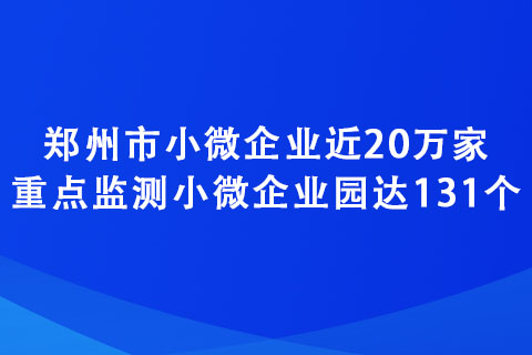 鄭州市小微企業(yè)近20萬(wàn)家 重點(diǎn)監(jiān)測(cè)小微企業(yè)園達(dá)131個(gè)