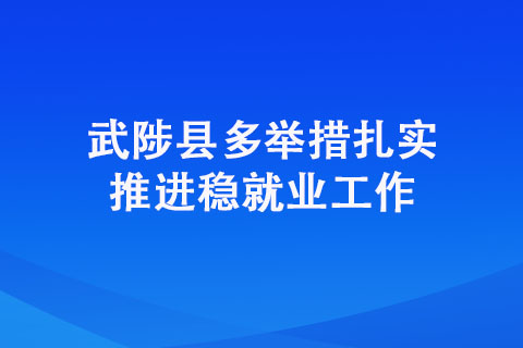 武陟縣多舉措扎實(shí)推進(jìn)穩(wěn)就業(yè)工作