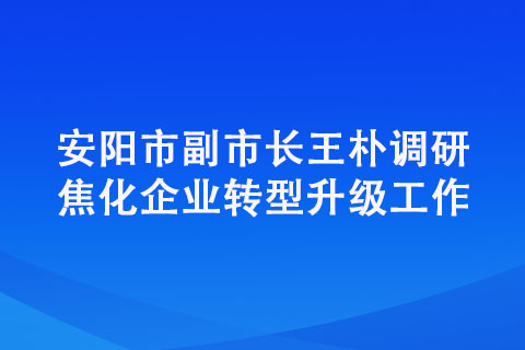 安陽(yáng)市副市長(zhǎng)王樸調(diào)研焦化企業(yè)轉(zhuǎn)型升級(jí)工作