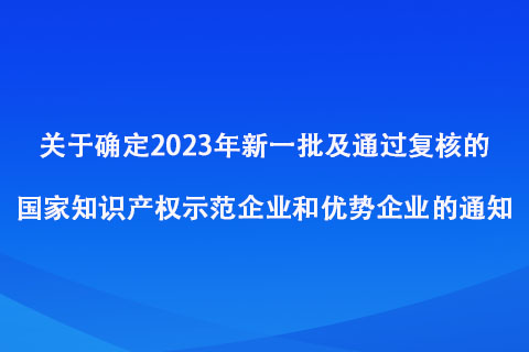 2023年新一批及通過(guò)復(fù)核的知識(shí)產(chǎn)權(quán)示范企業(yè)和優(yōu)勢(shì)企業(yè)名單