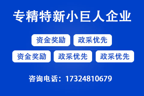 專精特新小巨人企業(yè)認(rèn)定